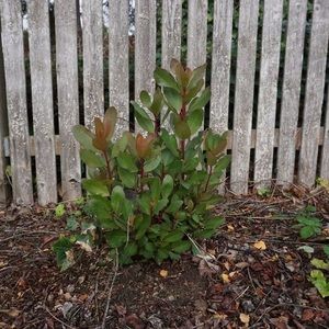 Meet your Posher, Franc